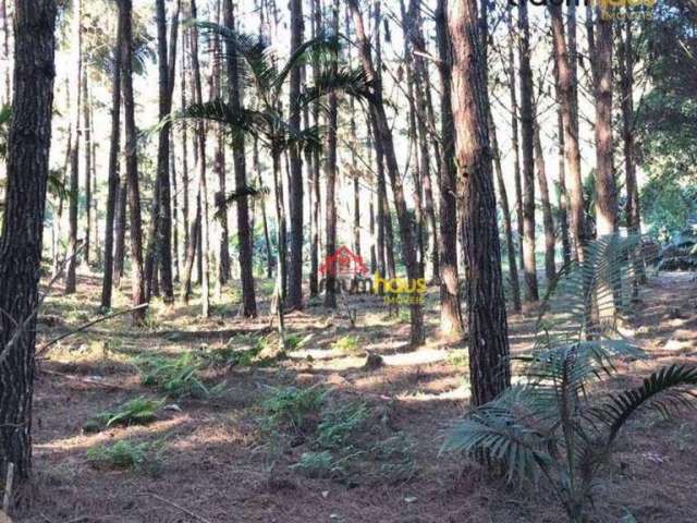 Terreno Residencial à venda, Progresso, Blumenau - TE0043.