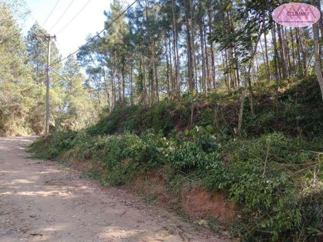 Terreno para Venda em Suzano, Estância Angelina