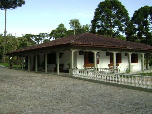 Casa de Campo Próximo a BR 277, antes do pedágio de São José Dos Pinhais