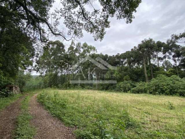 Área de terra com vista à venda em Nova Petrópolis na Serra Gaúcha