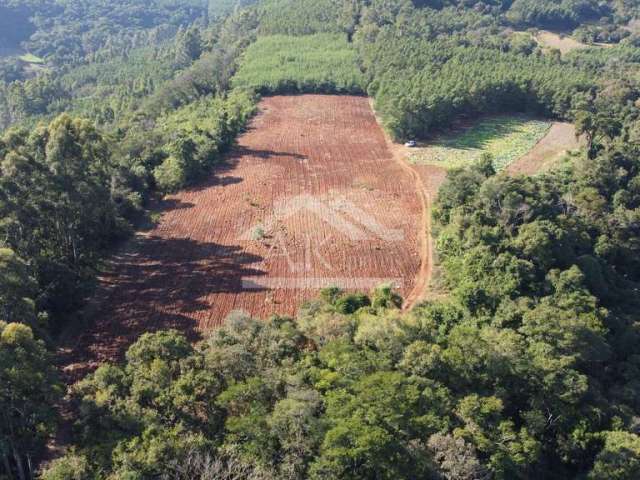 Área de terras plana à venda no interior de Linha Nova, na Serra Gaúcha