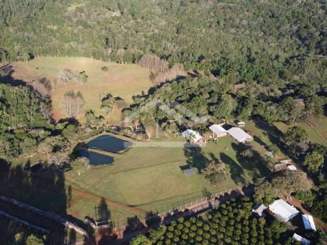 Sítio com potencial turístico à venda em São Francisco de Paula