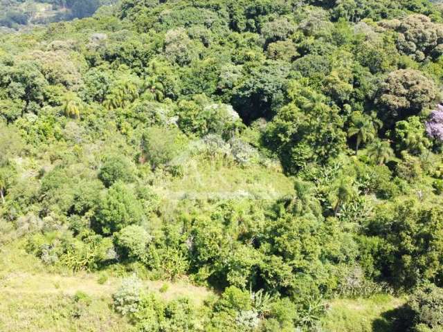 Amplo terreno à venda na cidade de Picada Café na Serra Gaúcha