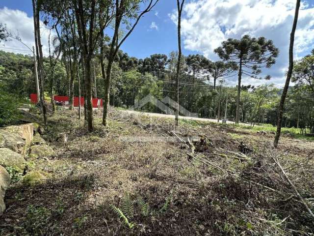 Terreno com fundos para área verde à venda em Nova Petrópolis na Serra Gaúcha