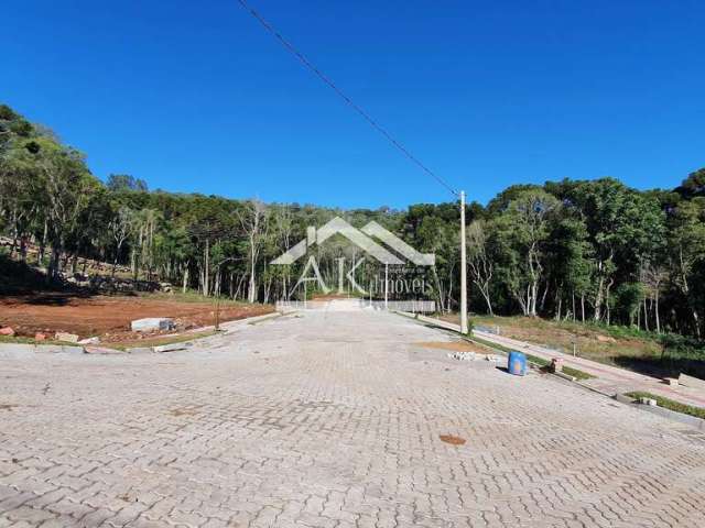 Terrenos à venda no bairro Linha Imperial, em Nova Petrópolis, na Serra Gaúcha