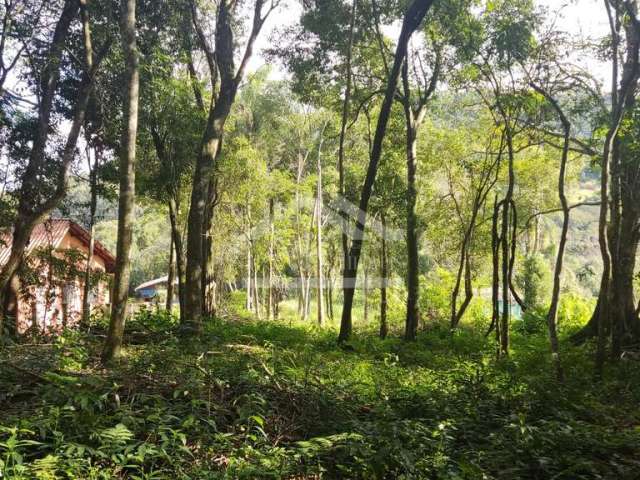 Amplo terreno arborizado à venda em Picada Café na Serra Gaúcha