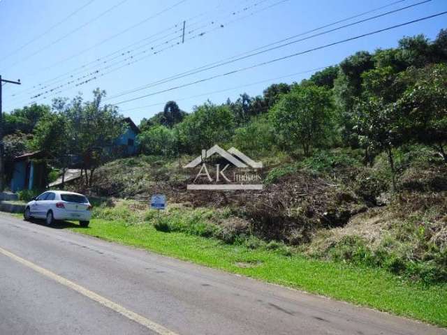 Terreno amplo e arborizado a venda em Picada Café, na Serra Gaúcha