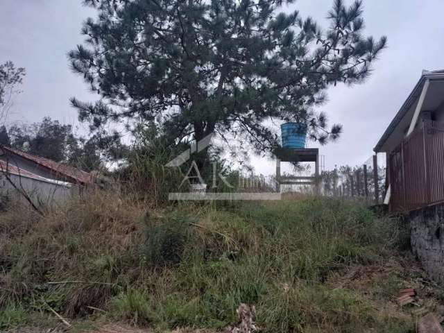 Terreno com aclive à venda em Picada Café, na Serra Gaúcha