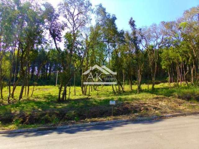 Terreno arborizado a venda em loteamento central de Picada Café, na Serra Gaúcha