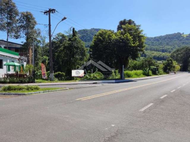 Amplo terreno às margens da BR 116 em Picada Café na Serra Gaúcha