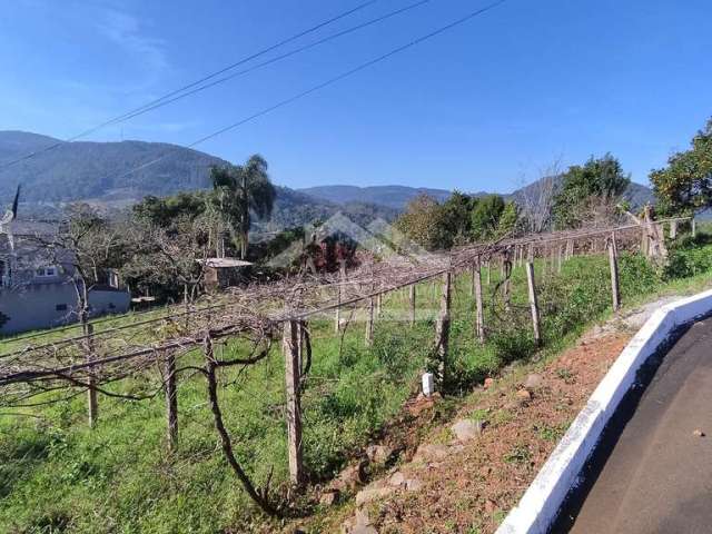 Amplo terreno de 780 m² à venda em Picada Café na Serra Gaúcha