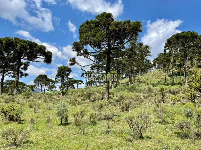 Chácara / sítio à venda na Jararaca, Zona Rural, Urubici, 20000 m2 por R$ 280.000