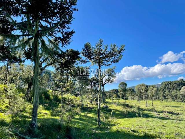 Chácara / sítio à venda na Urubici, Zona Rural, Urubici, 200000 m2 por R$ 1.700.000