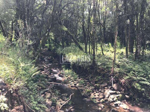 Chácara / sítio à venda na Urubici, São José, Urubici, 20000 m2 por R$ 350.000