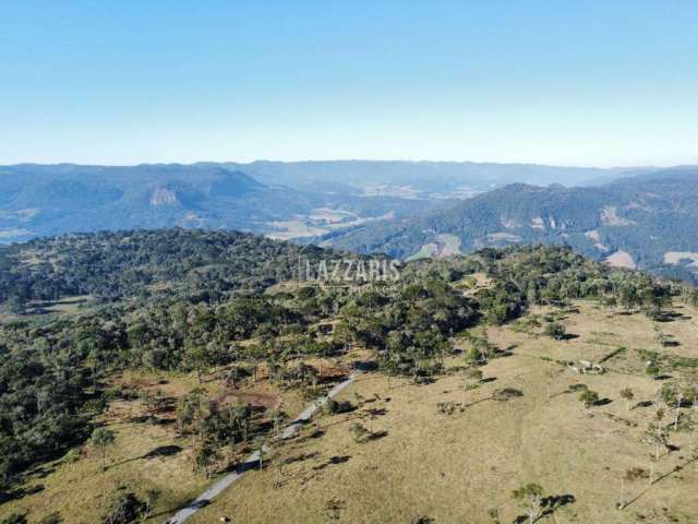 Chácara / sítio à venda na Rio Vacariano, Zona Rural, Urubici, 20000 m2 por R$ 360.000