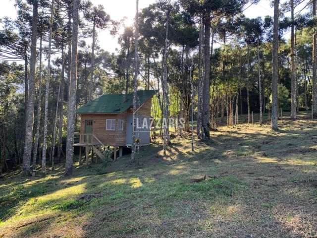 Chácara / sítio com 1 quarto à venda na SANTA TEREZA, Santa Tereza, Urubici, 20000 m2 por R$ 400.000