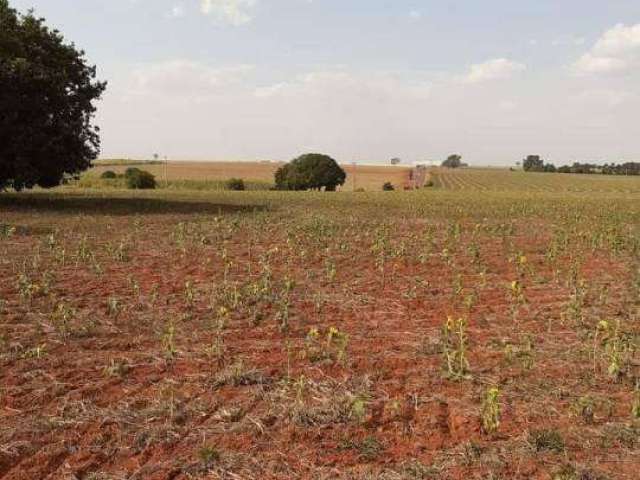 Terreno industrial à venda na entrada do Santo Antônio Sapezeiro em Santa Bárbara d'Oeste