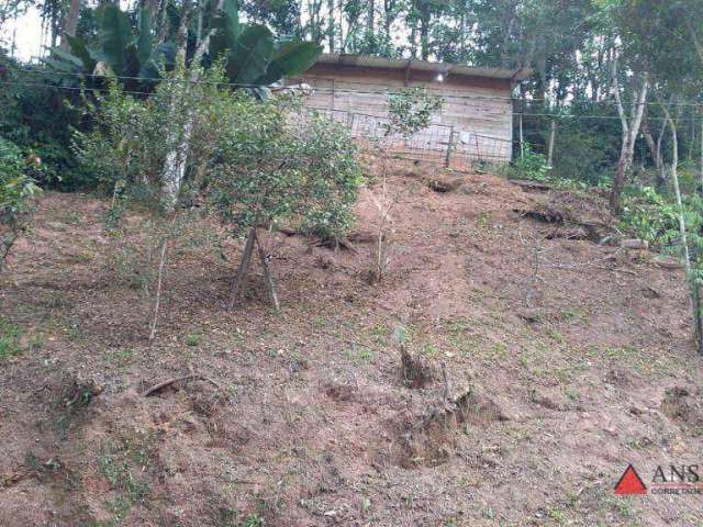 Terreno à venda, 1000 m² por R$ 200.000,00 - Cidade Recreio da Borda do Campo - Santo André/SP