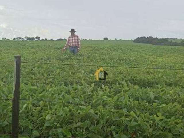 Fazenda à venda, 19021200 m² por R$ 17.685.000,00 - Centro - Santa Rita do Araguaia/GO