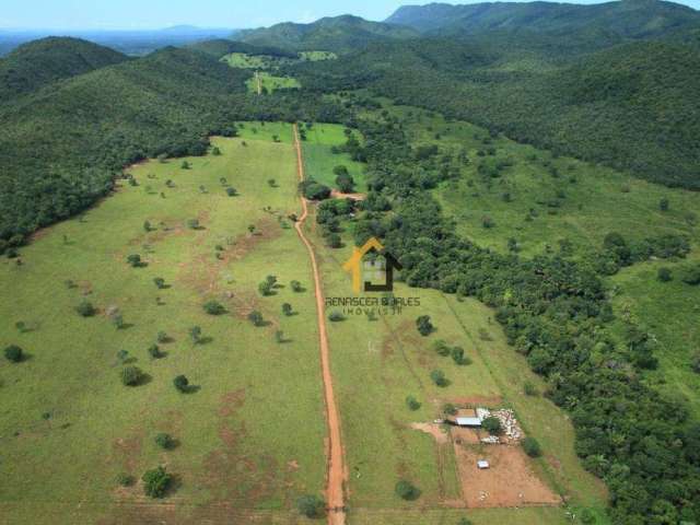 Fazenda com 3 dormitórios à venda, 52272000 m² por R$ 22.600.000,00 - Zona Rural - São Salvador do Tocantins/TO