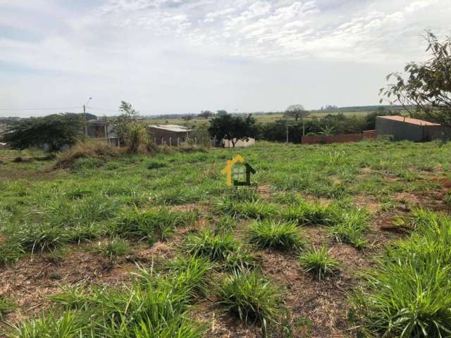 Terreno à venda, 220 m² por R$ 85.000,00 - Menezes 5 - Bady Bassitt/SP