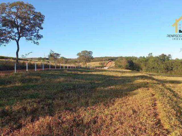 Sítio à venda, 88100 m² por R$ 520.000 - Rural - Nhandeara/SP