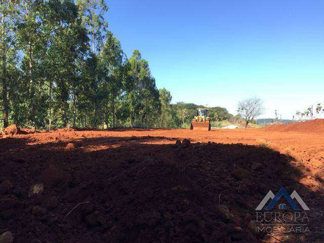 Terreno à venda, 5000 m² por R$ 475.000,00 - Zona Rural - Londrina/PR