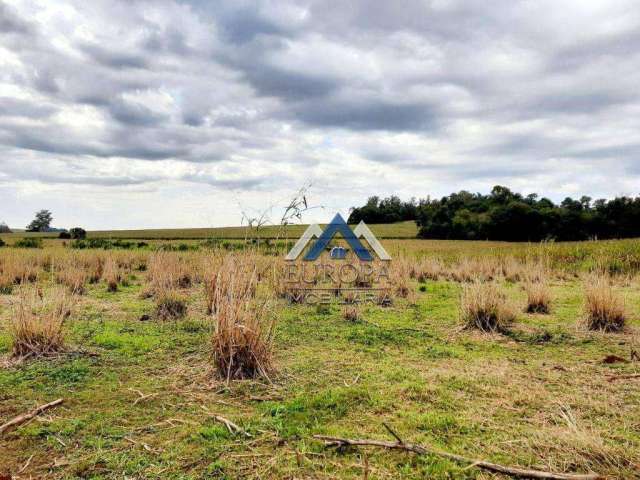 Área à venda, 30000 m² por R$ 800.000,00 - Rural - Sertanópolis/PR