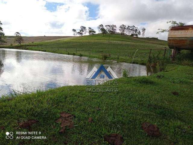 Sítio à venda, 220220 m² por R$ 3.300.000,00 - Rural - Sertanópolis/PR