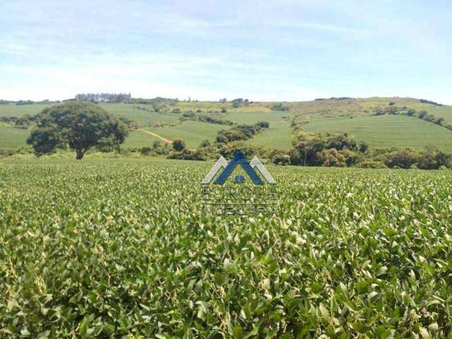 Fazenda à venda, 1694000 m² por R$ 22.000.000,00 - Rural - Sertanópolis/PR