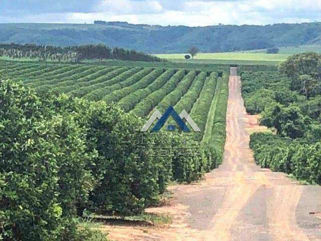 Fazenda com 5 dormitórios à venda, 8470000 m² por R$ 190.000.000,00 - Zona Rural - Marília/SP