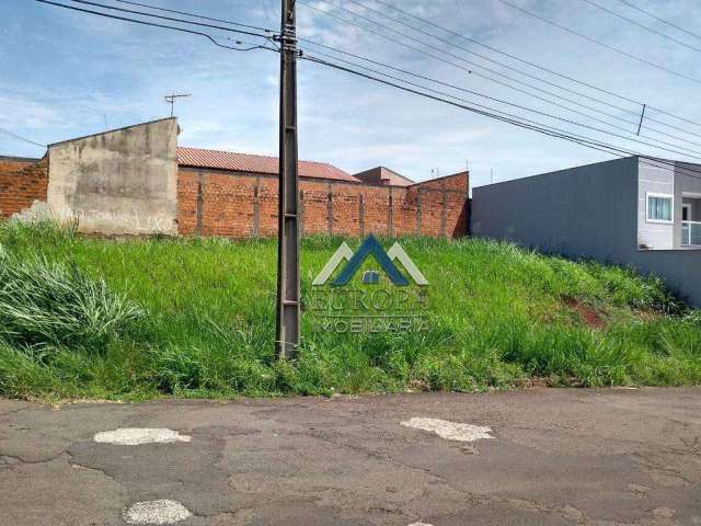 Terreno à venda, 357 m² por R$ 280.000,00 - Pacaembu - Londrina/PR