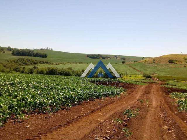 Fazenda à venda, 1936000 m² por R$ 15.000.000,00 - Distrito Primavera  - Leópolis/PR