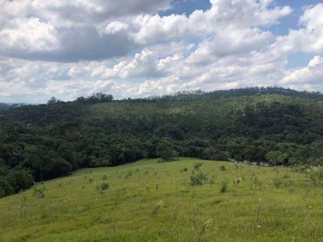 Terreno à venda, 803000 m² por R$ 40.150.000,00 - Jardim Vista Alegre - Campo Limpo Paulista/SP