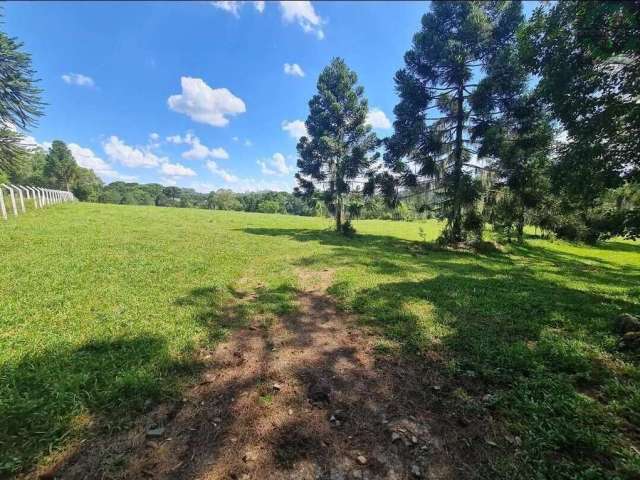 Área Residencial em Colônia Dona LuÍza, Ponta Grossa/PR