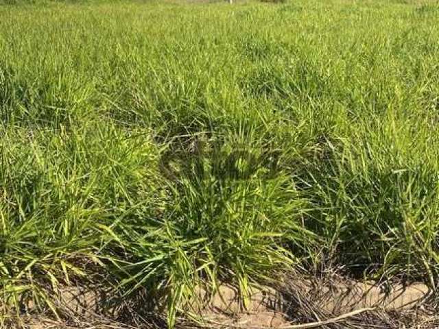 Terreno em Residencial Arcoville - São Carlos, SP