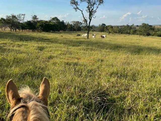 Fazenda para café à venda em Araguari