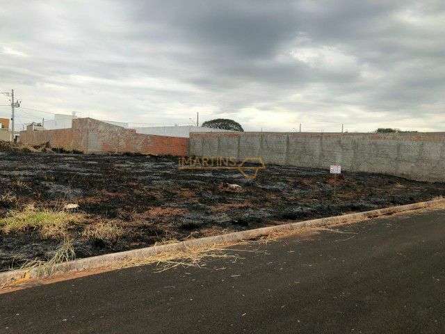 Terreno para Venda, Araguari / MG, bairro Jardim Botanico