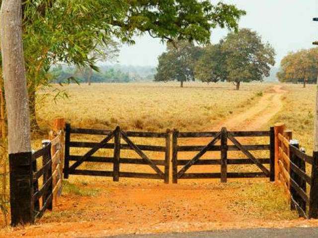 Fazenda em Araguari