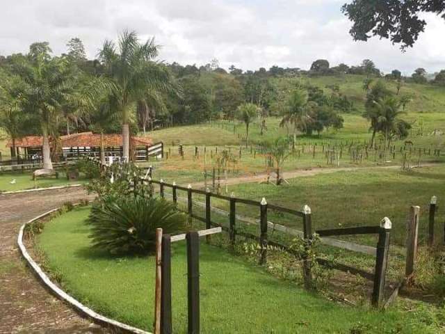 Fazenda à venda no bairro Área Rural de Araguari - Araguari/MG