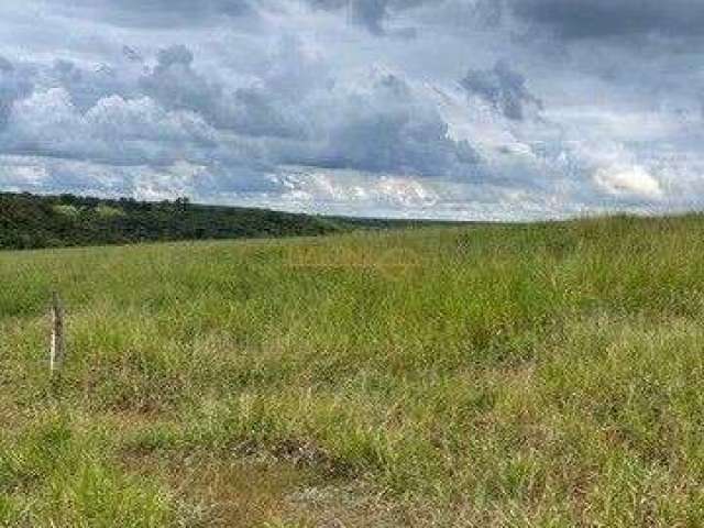 Fazenda à venda no bairro Área Rural de Araguari - Araguari/MG