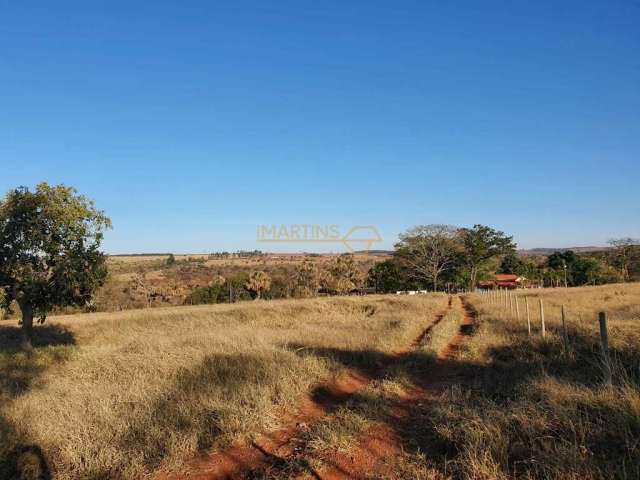 Fazenda em Araguari