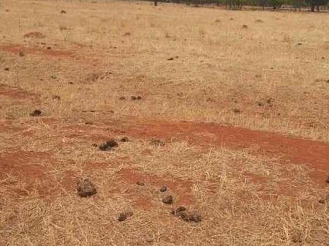 Fazenda para café à venda em Araguari