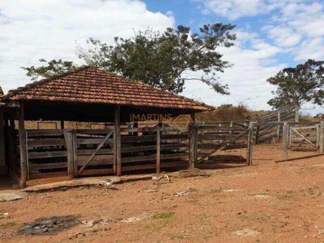 Fazenda à venda no bairro Área Rural de Araguari - Araguari/MG