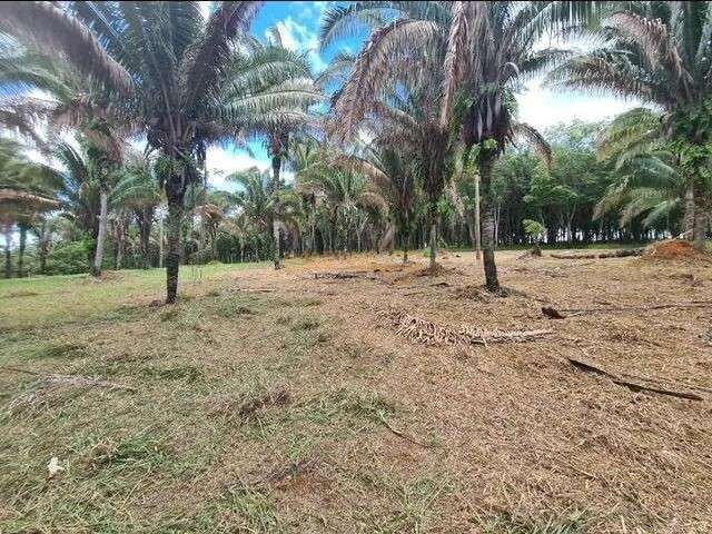 Sítio para Venda, bairro Zona Rural,  15 Hectares rica em água