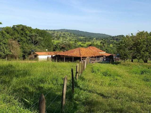 Fazenda para gado