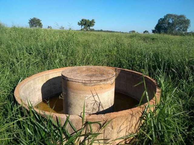 Fazenda em Araguari