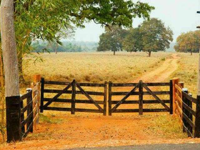 Fazenda em Araguari