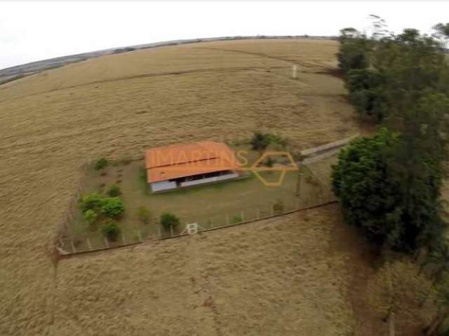 Fazenda em Araguari