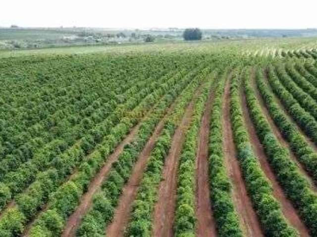 Fazenda à venda no bairro Área Rural de Araguari - Araguari/MG